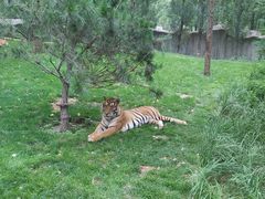 -北京野生动物园
