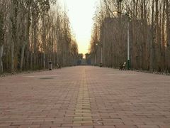 -哈尔滨师范大学(松北校区)