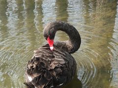 -昆山城市生态森林公园