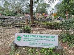 -海口火山口国家地质公园