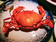 -百味馆·粤菜·湛江菜(后海花园店)