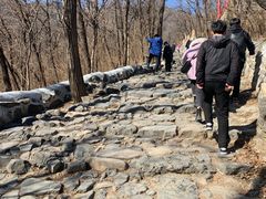 -阳台山自然风景区