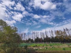 -前小桔亲子创意农场·草莓采摘·露营烧烤