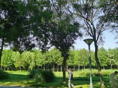 -长广溪湿地公园