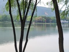 -长广溪湿地公园