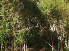 -白水冲瀑布