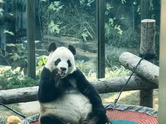 -大连森林动物园