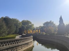 -大槐树寻根祭祖园