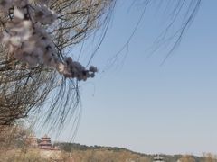 -颐和园