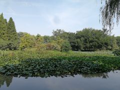 -洛阳市隋唐城遗址植物园