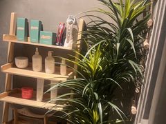 -施奈儿.洗头頭療.按摩SPA.采耳(上梅林店)