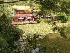 -黔灵山公园