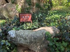-宋井风景区