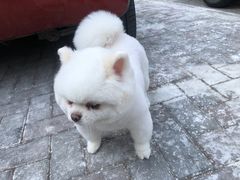-美联众合24小时·皮肤科·外科·全科诊疗中心(华苑分院)