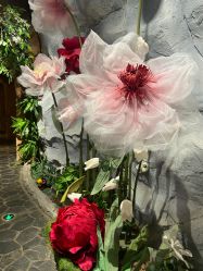 -Zoolung Zoolung动物主题公园(海信广场店)