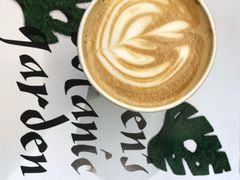 -CABO Coffee