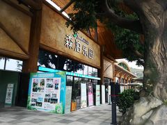 -杭州开元森泊度假乐园