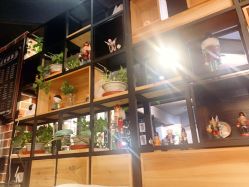 -刺客纹画纹身·洗纹身·穿孔饰品