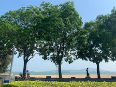 -黄金海岸环岛路