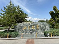 -张掖大佛寺景区