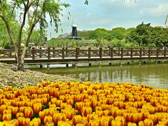 -上海鲜花港