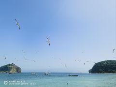 -棒棰岛宾馆景区