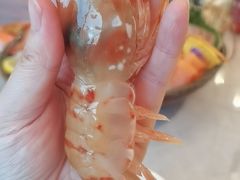 -汉来海港·海鲜自助餐厅(上海七宝领展广场店)