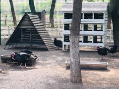 -大连铭湖国际观光牧场