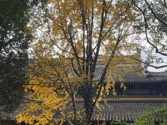 -西园戒幢律寺