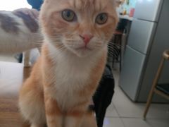 -平行世界·猫咖(首经贸店)