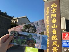 -阳台山自然风景区