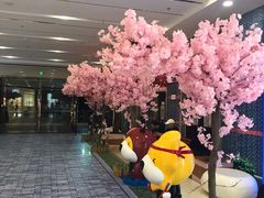 -上海颛桥万达广场