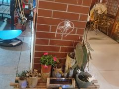 -鱼乐岛餐厅·户外花园主题餐厅