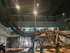 -自贡恐龙博物馆