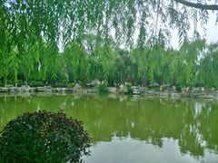 -西宁市人民公园(城西区)