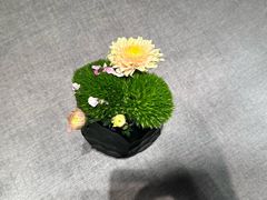 -南堂馆·新川菜(春熙路店)