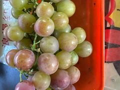 -马陆小张葡萄园农家乐