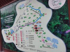-野象谷景区