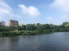 -前关湿地公园