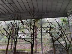 -广东茂名森林公园