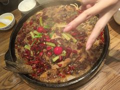 -老板恋上鱼(印象城店)