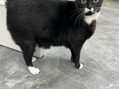 -东莞宠友24H宠物中心医院·转诊夜诊·异宠(新河北路院)