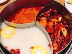 -青瓷火锅料理(西单大悦城店)