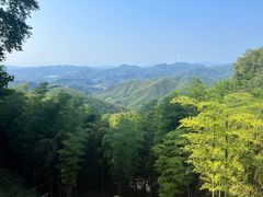 -莫干山风景区