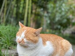 -成都杜甫草堂博物馆