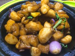 -青叶202都市餐厅(迪诺水镇店)
