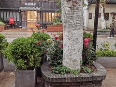 -蜜桃花开·中西融合菜E&W(南长街店)