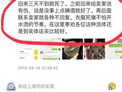 -龙大花卉苗木市场