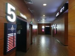 -保利国际影城(中环店)