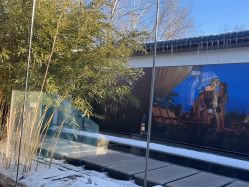 -爱儿美儿童摄影(朝阳公园店)